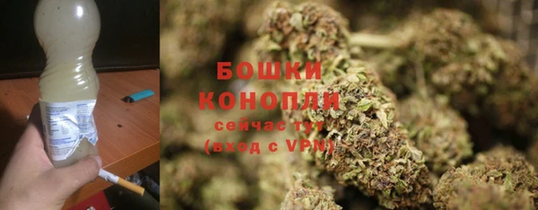 гашик Тихвин