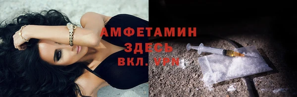 гашик Тихвин