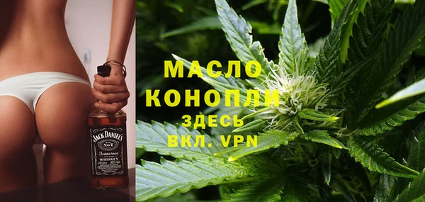 гашик Тихвин