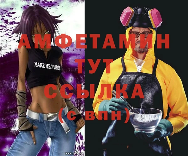 гашик Тихвин