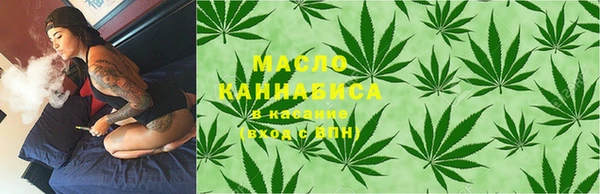 гашик Тихвин
