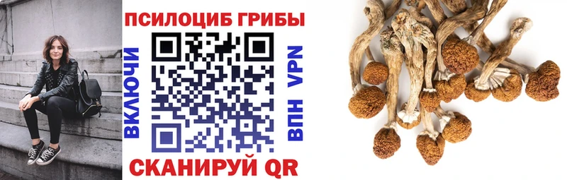Галлюциногенные грибы Magic Shrooms  Каневская 